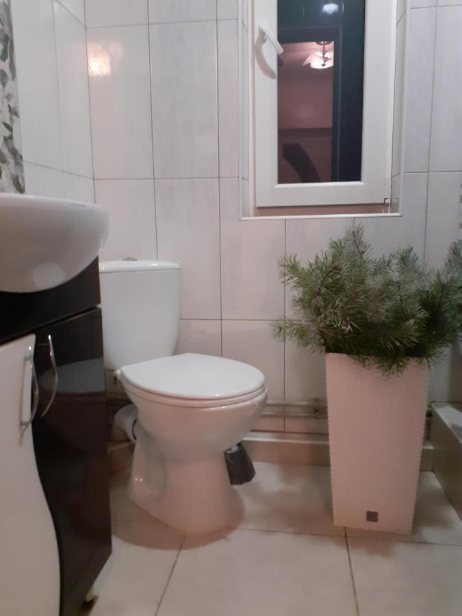 Guest House Viktoria Yaremche Dış mekan fotoğraf