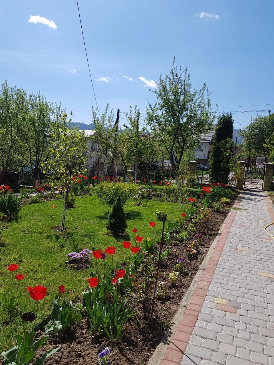 Guest House Viktoria Yaremche Dış mekan fotoğraf